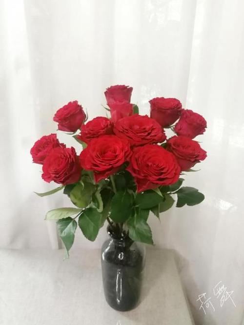 【昆明玫瑰】珍爱,红色,20支/扎 - 南粤floever鲜花量贩