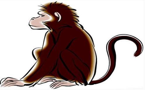 大师算命生肖猴财运运势属猴人士在2023年的财运运势是比较两极化的