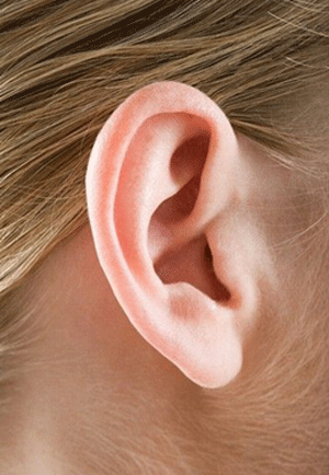 面相小知识这五种不同的耳形分别代表着五种命格你是哪种呢