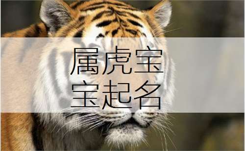 男宝宝名字案例集锦:2023是十二生肖排在第三位的虎年,属虎的宝宝起名