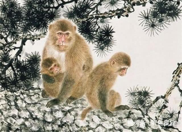 1980年生肖猴,1992年生肖猴1980年和1992年出生的生肖属猴的人,非常