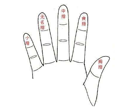 面相学手指长短揭秘你的性格运气无名指食指粗细易(手指面相)