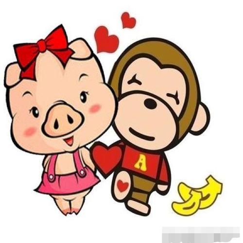 猪女猴男姻缘如何