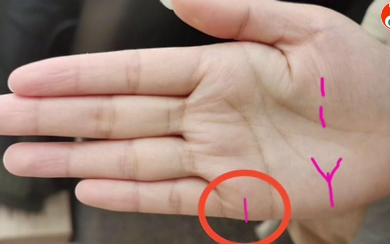 麻衣相法:小指下方有一条细纹模糊不清的手相