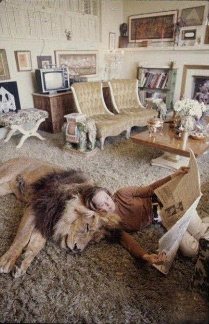 女子领养了一只狮子做宠物每天一起睡觉培养感情