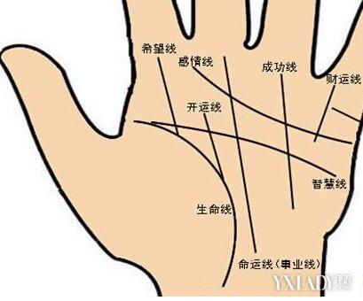 【图】手纹算命图解 教你如何看手相