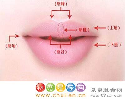 唇珠与没有唇珠的区别嘴唇面相分析