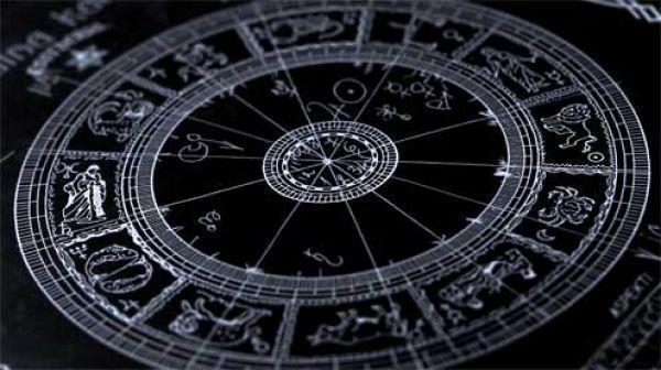 占星科学吗?——抱猫占星